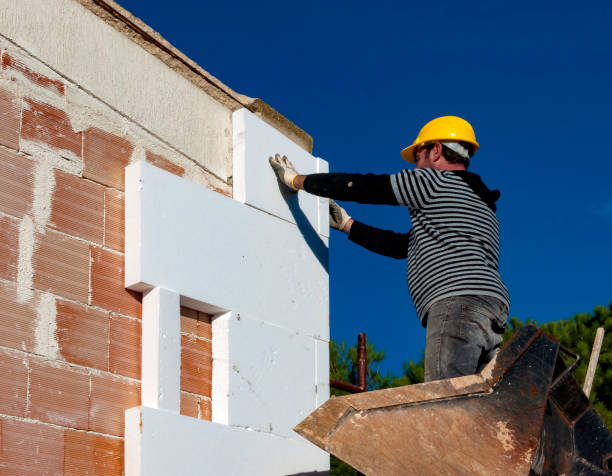 Best Insulation Removal  in Trevorton, PA