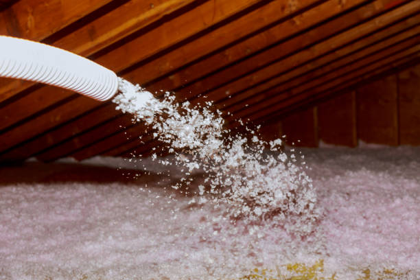 Best Cellulose Insulation  in Trevorton, PA