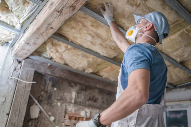 Best Insulation for New Construction  in Trevorton, PA