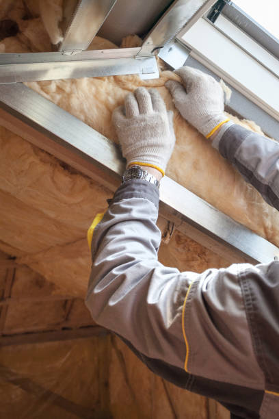 Best Crawl Space Insulation  in Trevorton, PA