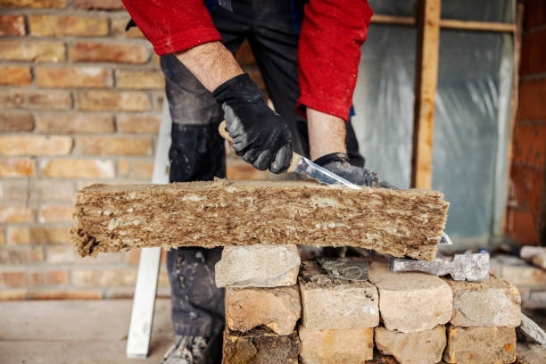 Best Insulation Removal  in Trevorton, PA